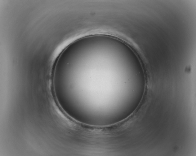 X0000112881512200908211438