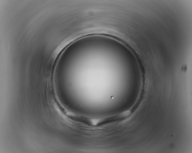 X0000112881513200908211438