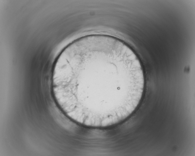 X0000112881514200908211438