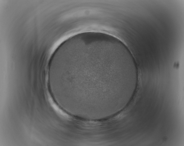 X0000112881515200908211438