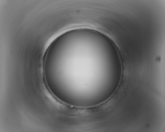 X0000112881516200908211438