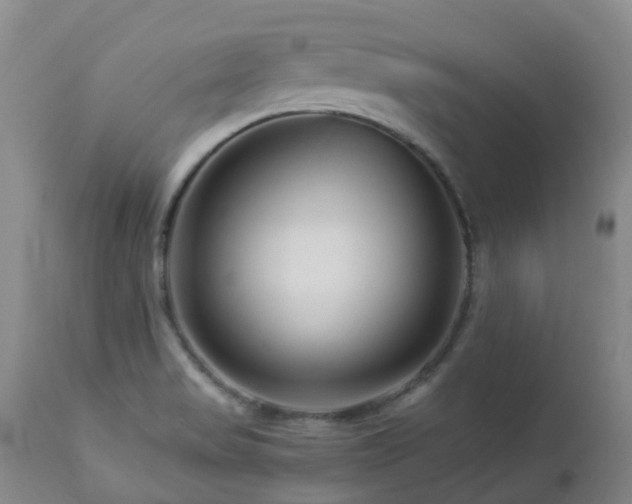 X0000112881517200908211438