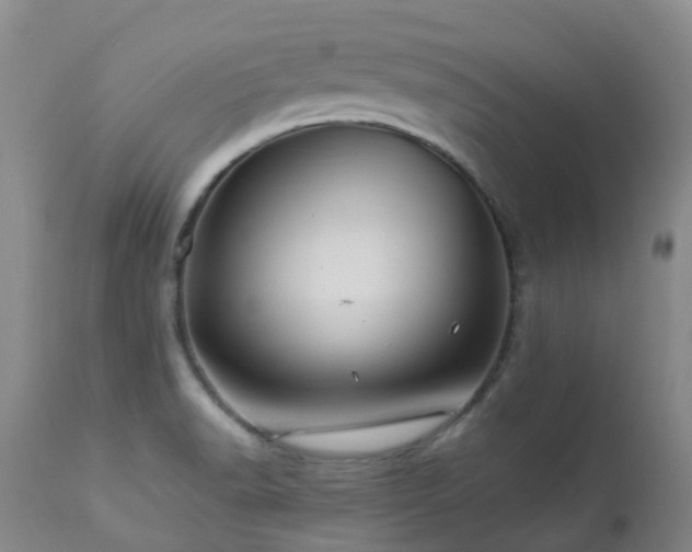 X0000112881518200908211438