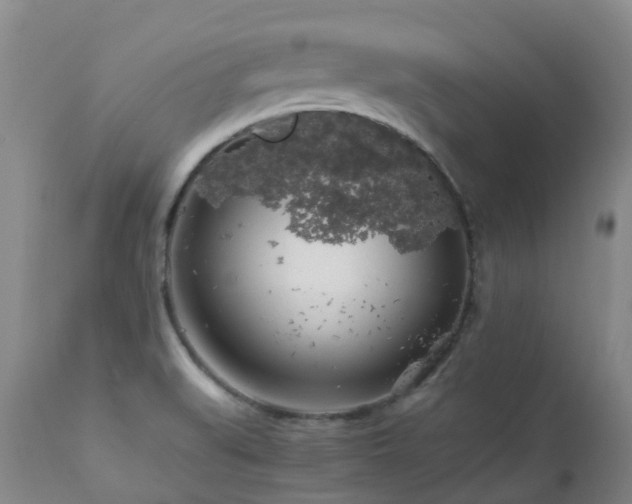 X0000112881519200908211438