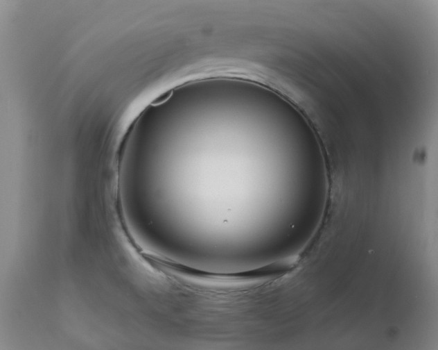 X0000112881520200908211438