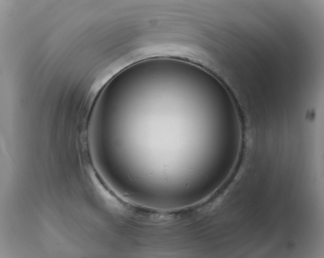 X0000112881521200908211438