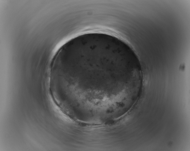 X0000112881522200908211438