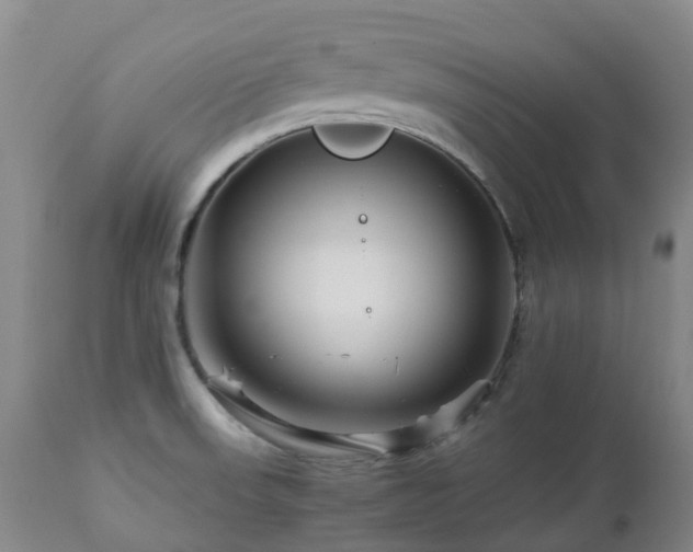 X0000112881523200908211438