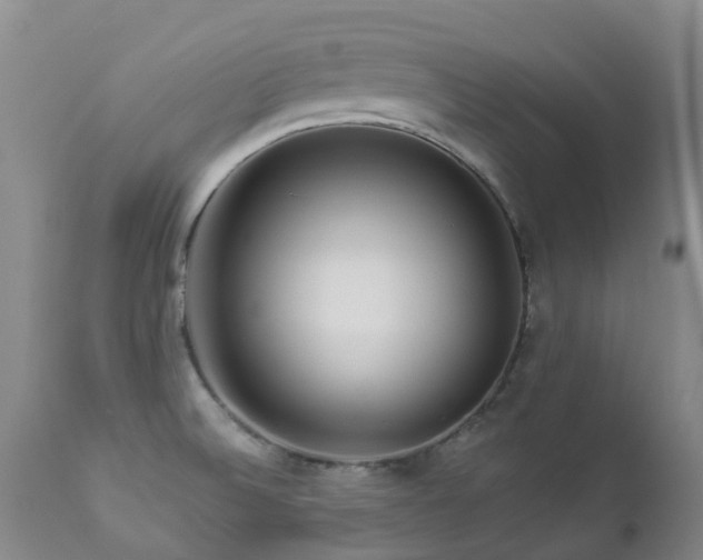 X0000112881524200908211438