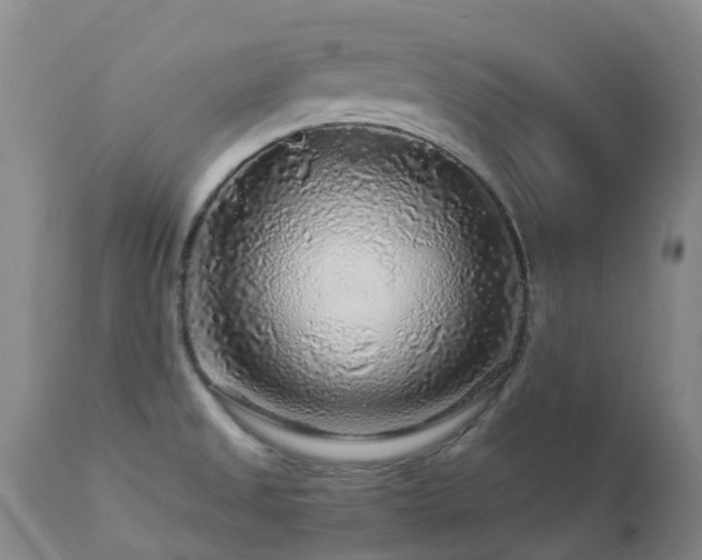 X0000112881525200908211438