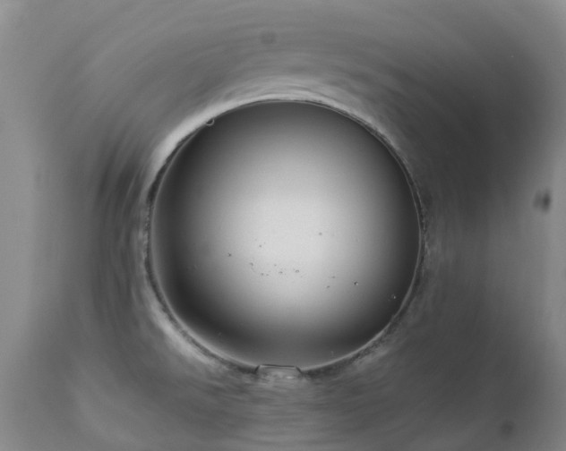 X0000112881526200908211438