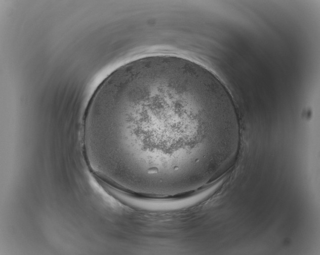 X0000112881527200908211438