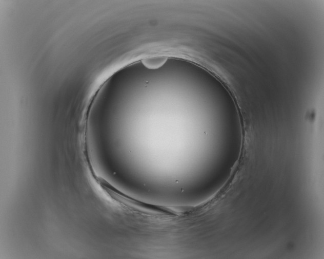 X0000112881528200908211438