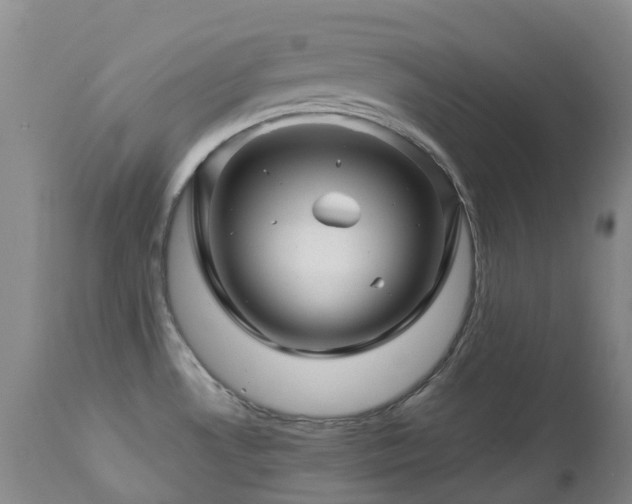 X0000112881530200908211438