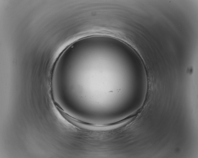 X0000112881531200908211438