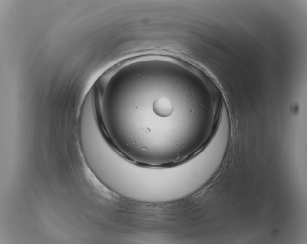 X0000112881532200908211438