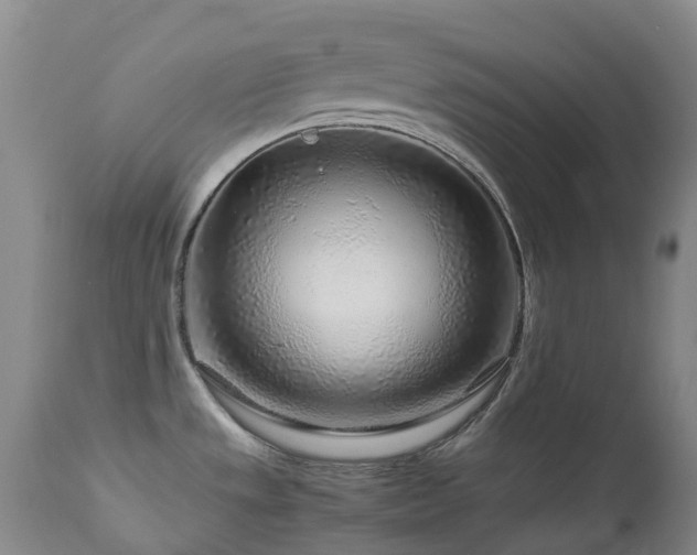 X0000112881533200908211438