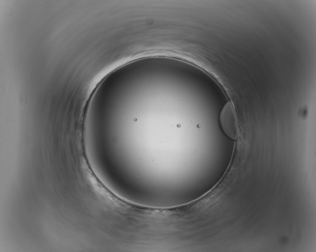 X0000112881534200908211438