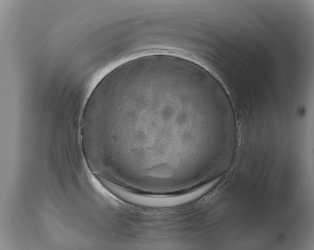 X0000112881535200908211438