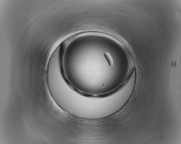 X0000112881536200908211438