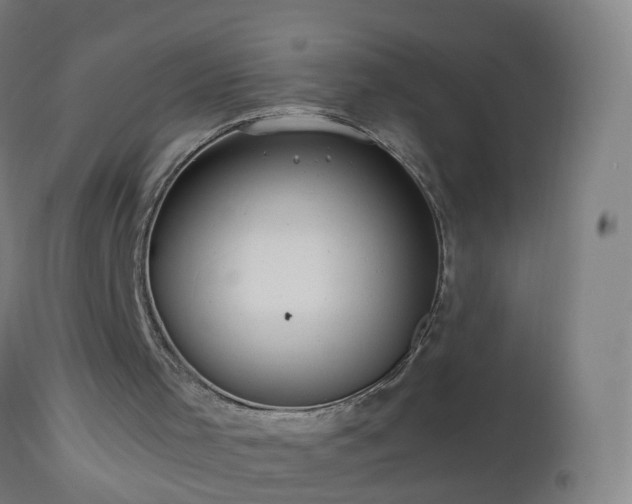 X0000112880001200908281648