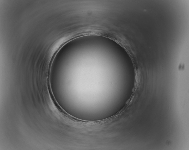 X0000112880003200908281648