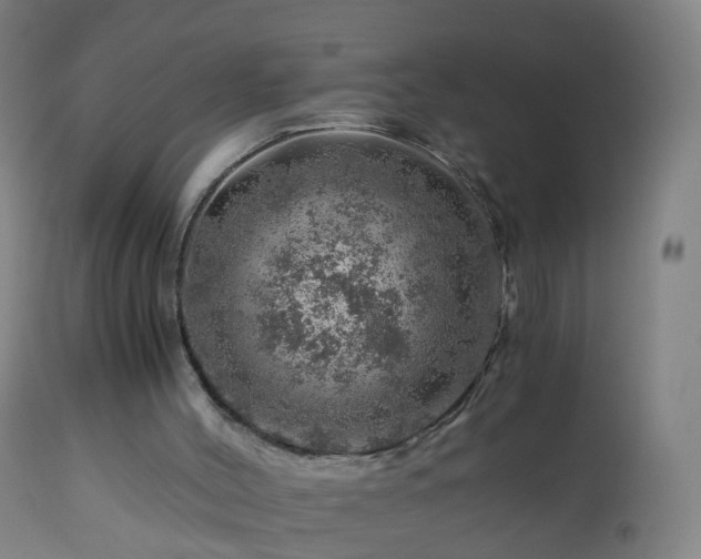 X0000112880004200908281648