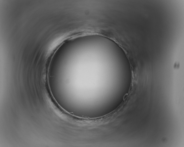 X0000112880005200908281648