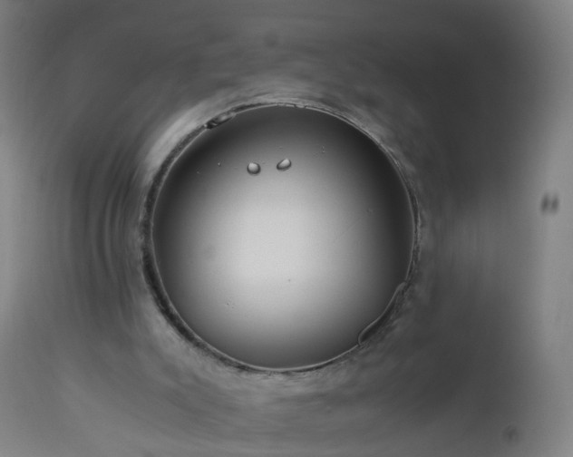 X0000112880007200908281648