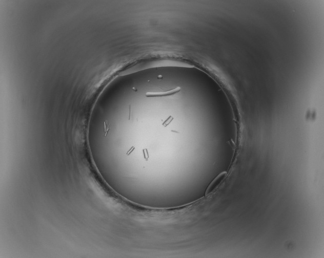 X0000112880009200908281648