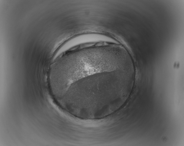 X0000112880010200908281648