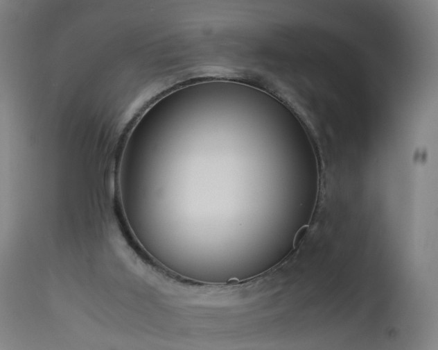 X0000112880011200908281648