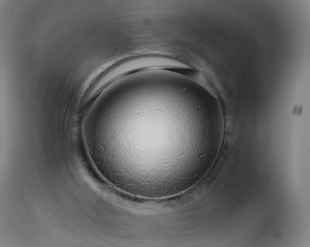 X0000112880012200908281648