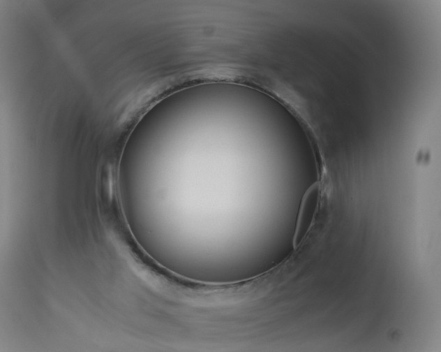 X0000112880013200908281648