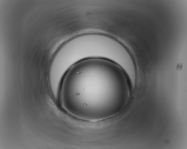 X0000112880015200908281648