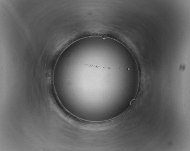 X0000112880017200908281648