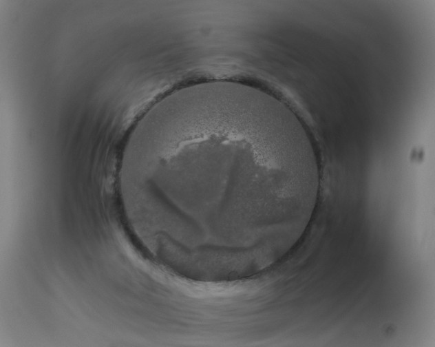 X0000112880018200908281648