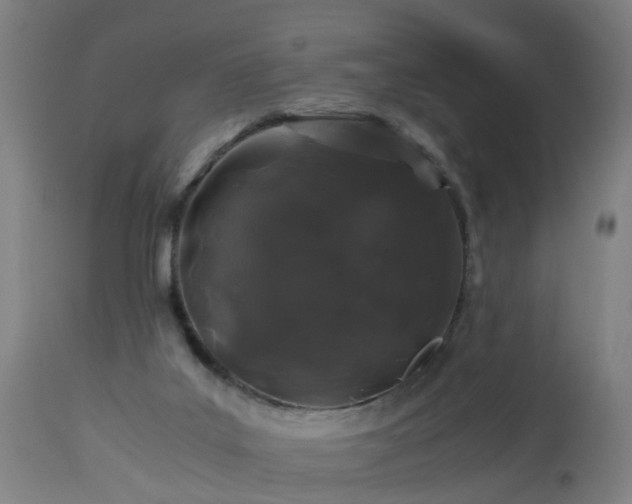 X0000112880019200908281648