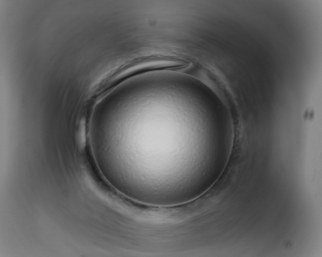 X0000112880020200908281648