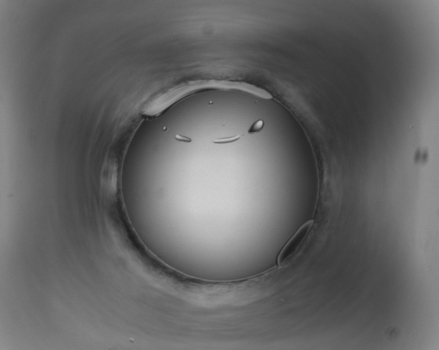 X0000112880021200908281648