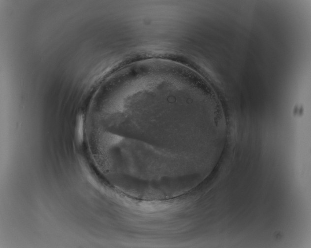 X0000112880022200908281648