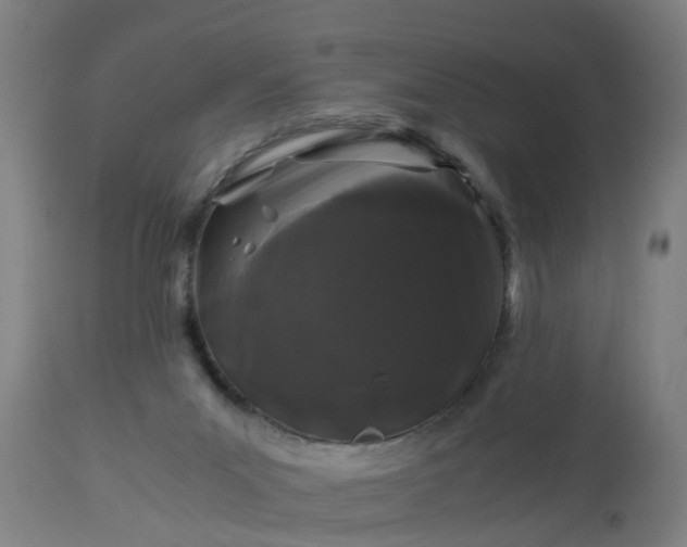 X0000112880023200908281648