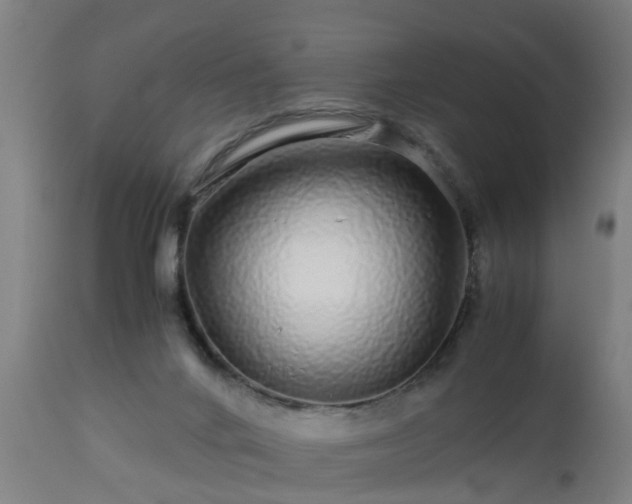 X0000112880024200908281648