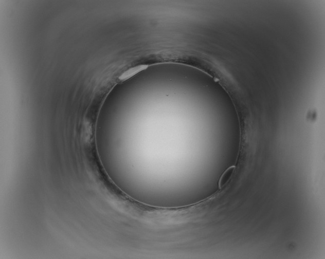 X0000112880025200908281648