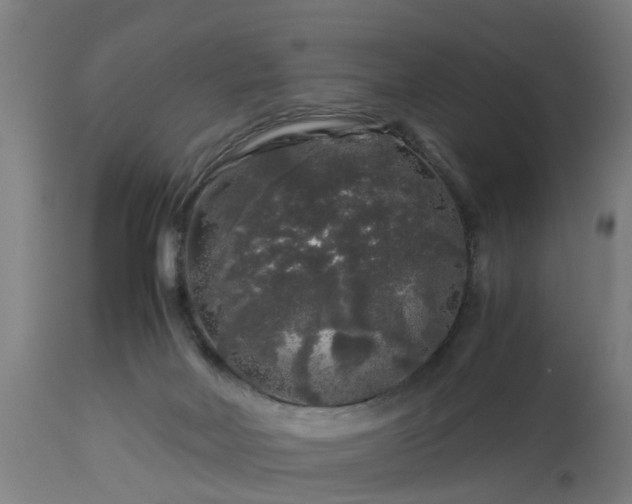 X0000112880026200908281648