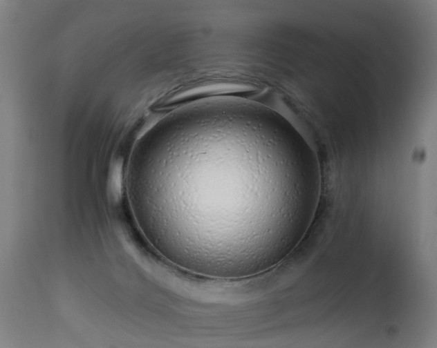 X0000112880028200908281648