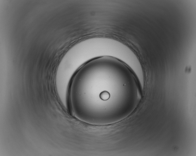 X0000112880029200908281648