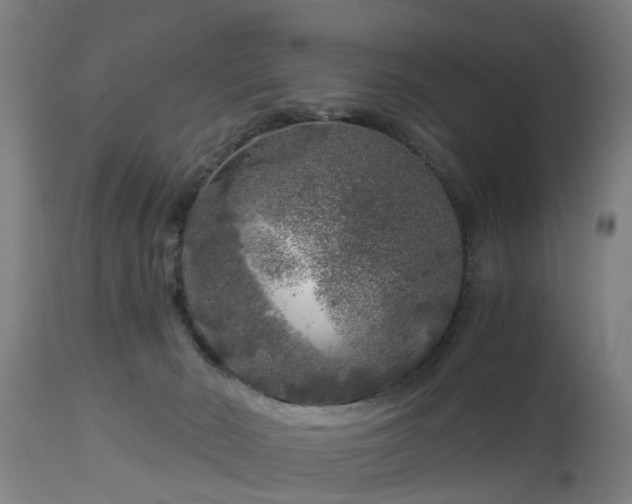 X0000112880030200908281648