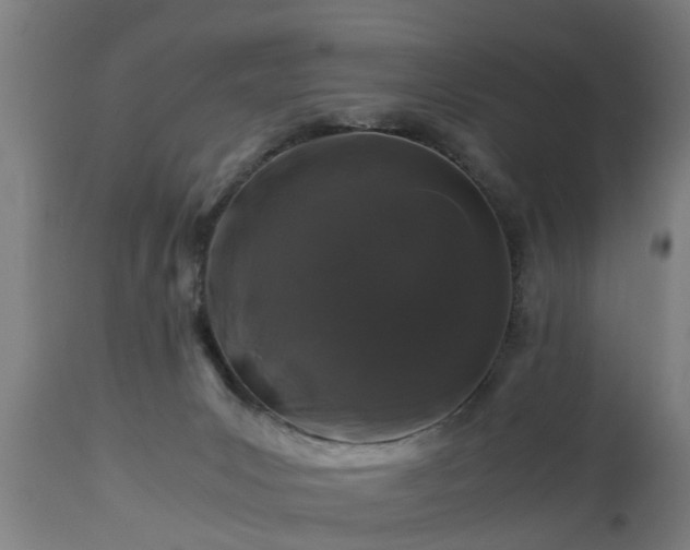 X0000112880031200908281648