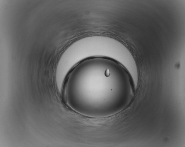 X0000112880033200908281648